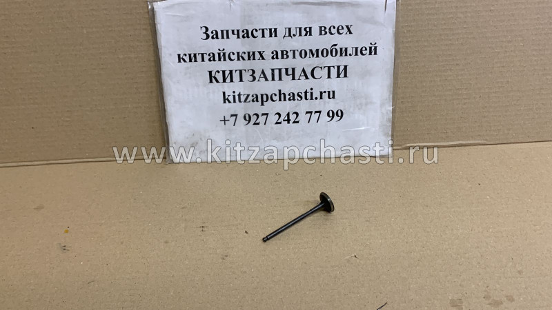 КЛАПАН ВЫПУСКНОЙ HAVAL H2 1007012-EG01