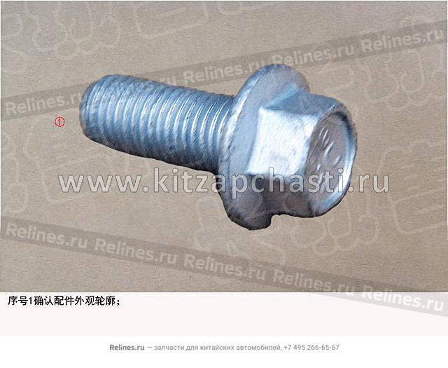 Гайка высокая HAVAL H9 2рест Q33008FDE